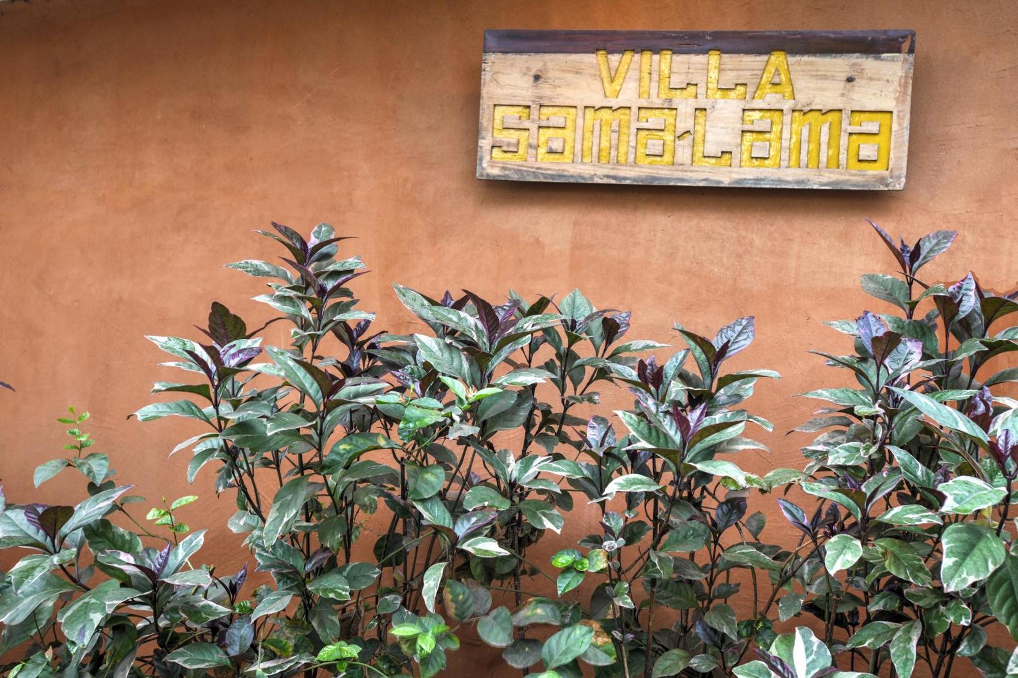 Villas Samalama ギリ・アイル エクステリア 写真